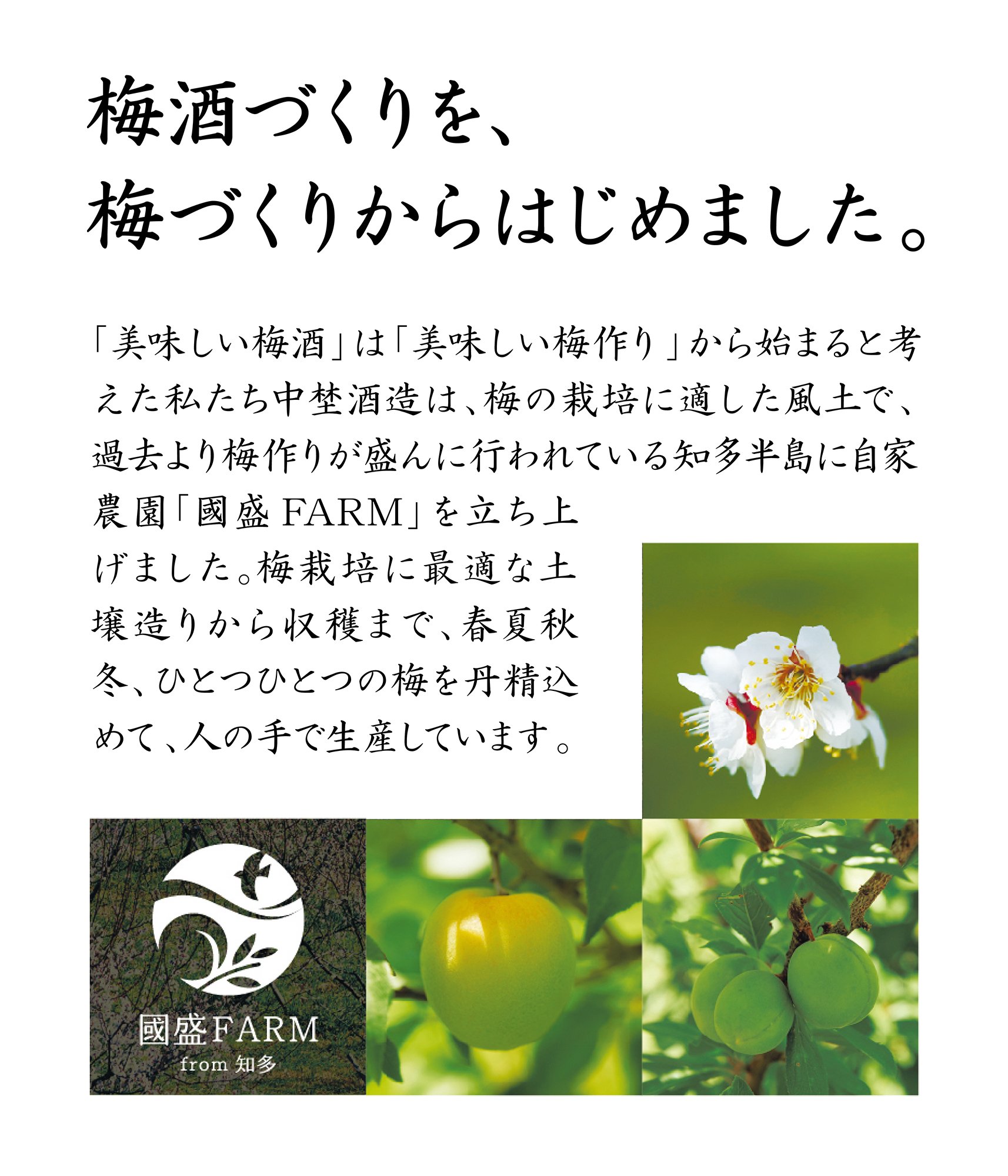 ✤中国✤酒器✤作家物✤ Amazon.co.jp: Nakao Shuzo Kunimori Unfiltered Plum Wine